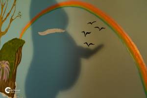 Elodie DEVAYE - CLIC N' REC